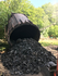 Beech wood charcoal 5 kg