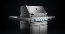 BBQ Master L Max- Stainless steel gas grill