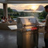 BBQ Master L Max- Stainless steel gas grill